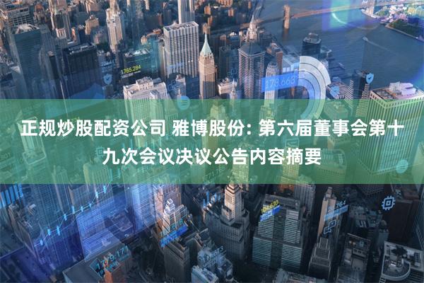 正规炒股配资公司 雅博股份: 第六届董事会第十九次会议决议公告内容摘要