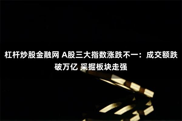 股票杠杆是什么 成交额不足万亿！尾盘资金抢筹寒武纪 今天A股发生了什么？